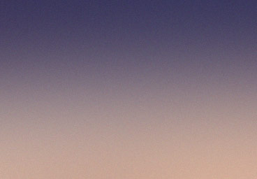 rougail antillais Lyon